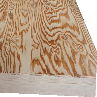 China 15.0mm traditional poplar core larch veneer 1220*2240mm larch plywood for furniture for sale