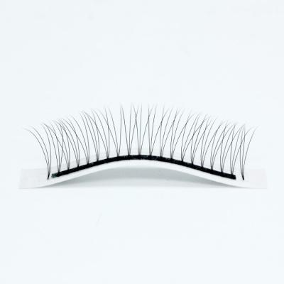 China Natural Long Mink Colored Volume Colored Lashes Lash Eyelash Extension Lash Tray for sale