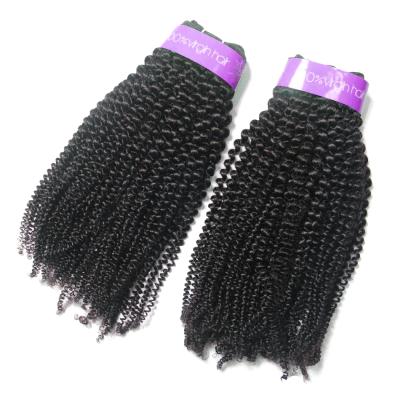 China Curly Tangle and Shedding Free Virgin Afro Mongolian Curly Hair for Hairdresser for sale