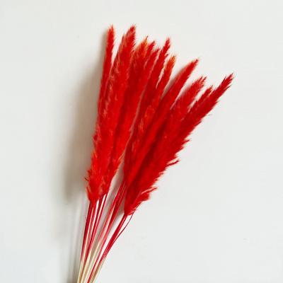 China Hot Sale Promotional Gifts Dry Pampas Grass High Quality Artificial Dried Flowers Plants Pampass Grass Bouquet Boho Decor Wholesaler for sale