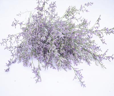 China Promotional Gifts Wholesale Dry Herb Desmodium Gyrans Preserved Natural Herb Preserved Limonium Flower for sale