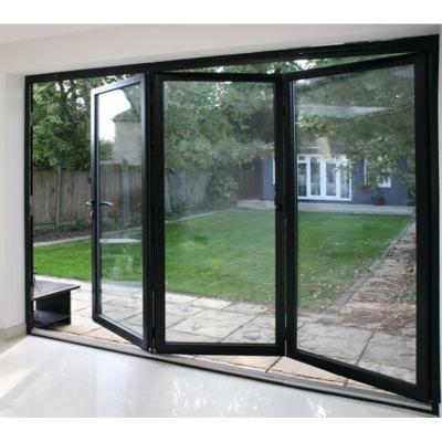 China Thermal Insulation Blh-39 Simple Design Folding Door Design Detachable Folding Doors Folding Door Aluminium For Home Balcony for sale