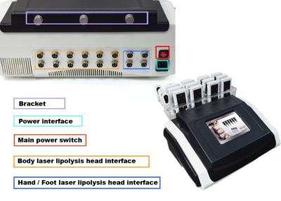 China Tischplatten-Laser-Fettabsaugung Fett-/Cellulite-Reduzierungs-Maschine AC120V 230V zu verkaufen