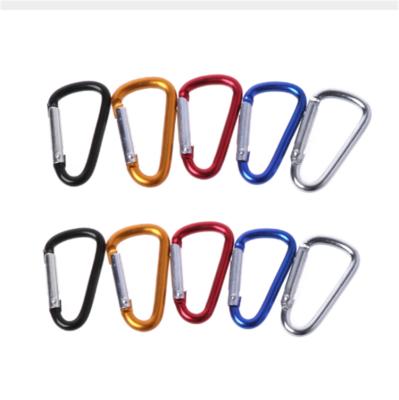 China BT-249A Retail Industry Small D Shape Hook Customized OEM Aluminum Carabiner Key Chain for sale