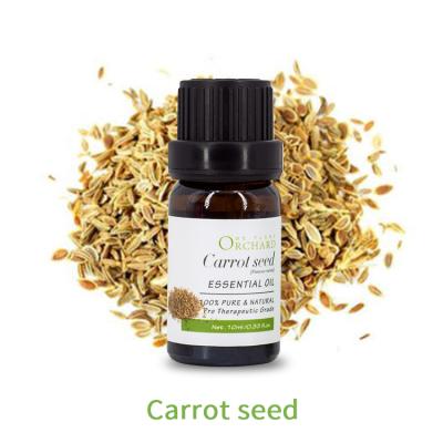 China Wholesale Pure Steam Distilled Carrot Seed Extraction Best Skin Revitalizer Skin Revitalizer Essential Oil For Skin Lightening for sale