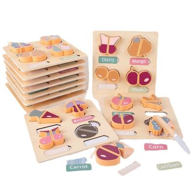 China No Children's Montessori wood cut puzzle set fruit vegetable picture word matching board magnetic puzzle set for baby kids for sale