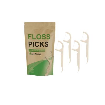 China For Home Use 10pcs Bag Packing Mint Flavor Floss picks No Flavor Dental Floss Pick For Home Use for sale