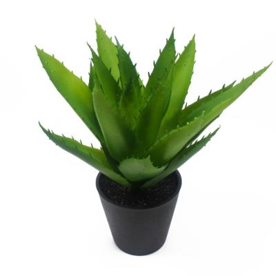 China CLASSIC Artificial Vera Cactus Aloe Succulent Plant For Decoration Real Touch Plant for sale