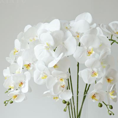 China CLASSIC high quality different simulation real hand touch smelling artificial colorful phalaenopsis orchid flower decorative for sale