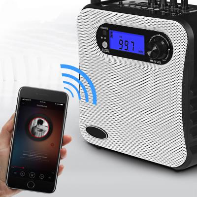 China Video Portable Gaming Speaker with Microphones Amplifier Wireless Speaker for Microphone Teaching Handheld Audio Amplifier for sale