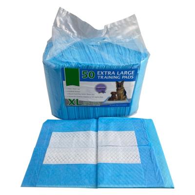 China Extra Large High Sustainable Disposable Pet Training Absorbent Pads With Scent for sale