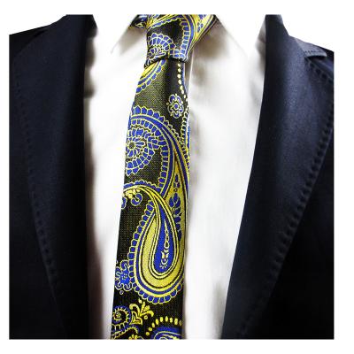 China 100% Custom Logo Polyester Fabric Ties Paisley Men's Ties Club Slim Suit Corbatas Accessory 6cm Ties for sale