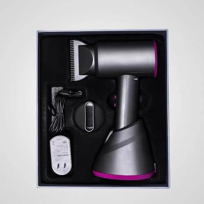 China 380W Negative Ionic Blow Dryer Cordless Nozzle Rechargeable Hair Dryer Cordless Hair Dryer for sale