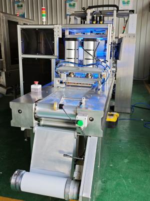 China Equipamento de embalagem para absorção de sutura cirúrgica Blister Sealing Packaging Line à venda