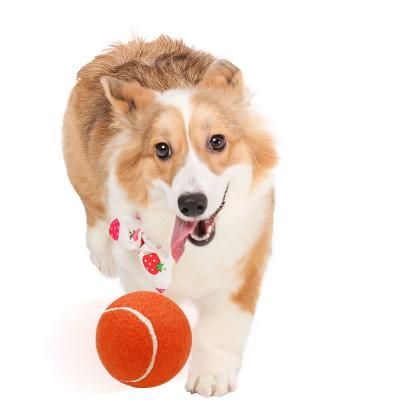 China Custom Rubber Tank Padel Tennis Ball For Pets Polyester Material à venda