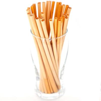 China 100% Biodegradable Disposable Reusable Drinking Natural Disposable Wheat Straw for sale