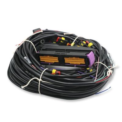 China Automobile 24 Pin Automotive ECU Professional Manufacturers Auto Wire Harness for sale