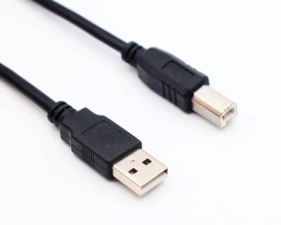 China COMPUTER USB Cable A Male to B Male 2.0 Version for sale