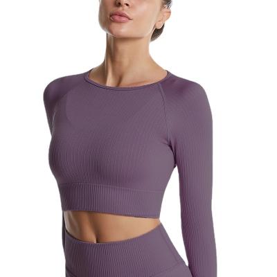 China Women Workout Seamless Yoga Tops Gym Crop Top Compression Long Sleeve Padded Fitness Sports Shirt for sale