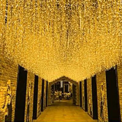 China 100 gws Outdoor Garden Stage Party Curtain Christmas Decoration LED String Light Icicle Decoration LED Bulb 220v 220v DC Plug for sale