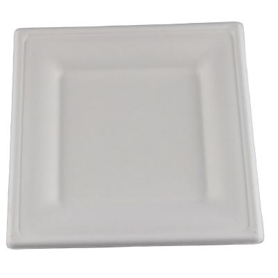 China Wholesale High Quality Rectangle Biodegradable Square Dishes Sugar Cane Bagasse Food Container Disposable Paper Disposable Dishes for sale