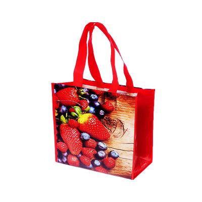 China Goods Handled Using Non Woven Reusable Laminated Promotional Shopping Bags Grocery Bag for sale