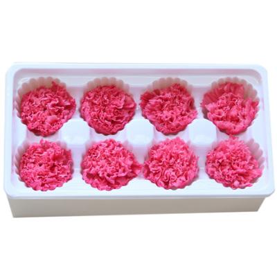 China Hebei huiya preserved carnation supplier 4-5cm for sale