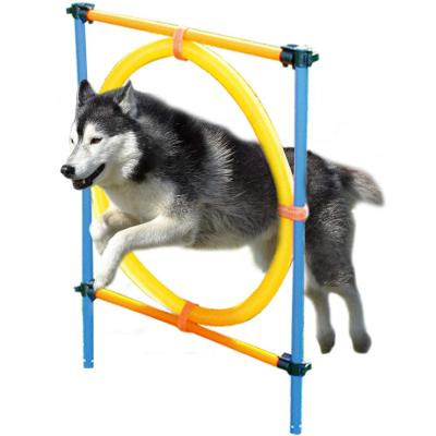 China Stocked Set Pet Training Equipment Dog Agility Training Set Dog Jumping Obstacle Bar Dog Game Jumping Run Game Obedience Set for sale