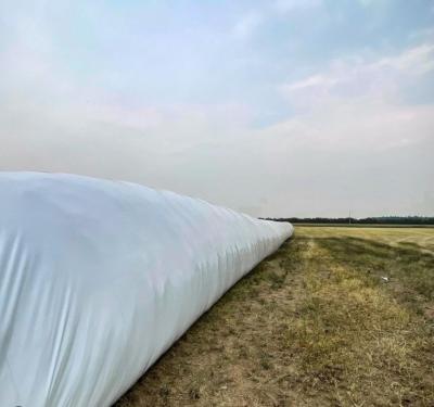 China Agricultural moisture proof silo bag for silage, corn seed rice bin grain storage silo tube silage bag for sale