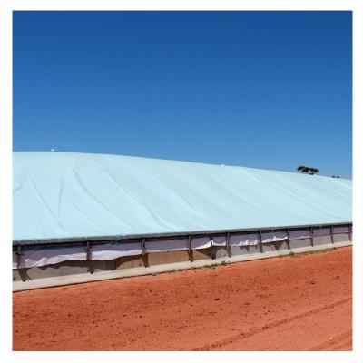 China Moisture Proof 5mil 6mil White And Black UV LDPE Silage Wrap Film Silage Sheet for sale