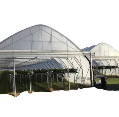 China For Greenhouse Covering 200 Micron Greenhouse UV Treated Plastic Film Greenhouse Agricultural Film On Roll for sale