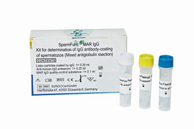 Chine Anti-Sperm antibody IgG detection (MAR method) à vendre