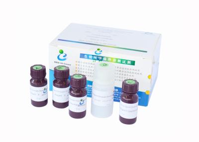 China Equipo para evaluar integridad de la DNA de la esperma en venta