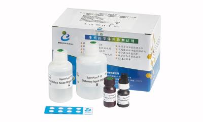 Cina Corredo AMH CLIA Kit For Adult Females della prova dell'ormone di Mullerian di analisi del siero anti in vendita