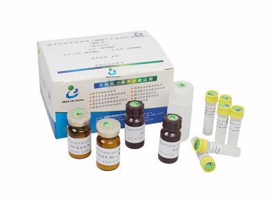 China Kit de teste de fertilidade masculina de maturidade de esperma Kit de ensaio de ROS de função de esperma à venda