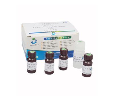 China Prueba Kit Flow Cytometry Method de la fragmentación de la DNA de la esperma de BRED-029 SCSA en venta