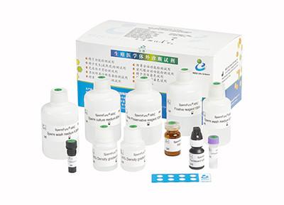 China Jogo induzido de Kit Accuracy Male Fertility Test do reagente da reação do Acrosome do esperma à venda