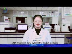 Sperm DNA Fragmentation Test Kit Flow Cytometry Method