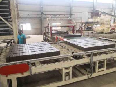 Cina Linea 2,5 ~ di Clay Brick Making Machine Production del fango pressione d'espulsione 2.8MPa in vendita