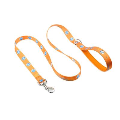 China Personalized Pet Supplies and Pampering Other Pet Collars, Nylon Dog Leashes Large Colored Slip Lead Dog Leash for sale