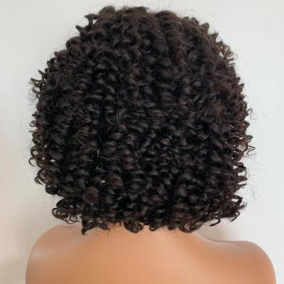 China Beyonce Color Curly Brazilian Virgin Natural Curly 360 Lace Front Wig for sale