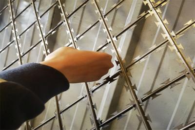 中国 Factory Supply Galvanized Powder Coated Razor Barbed Wire Mesh Fence Enhanced Security 販売のため