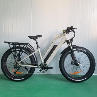 China Low Step Aluminum Alloy 48v500w Fat Tire Wheel Battery Optional Electric Bicycle Mountain 1000W e Bike for sale