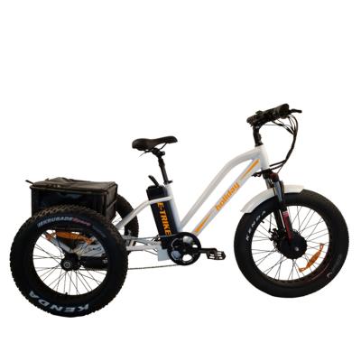 China New Design 3 Wheel Multifunctional Fat Tire Cargo Electric Bicycle, 48V 500W e-delivery bike with basket for sale