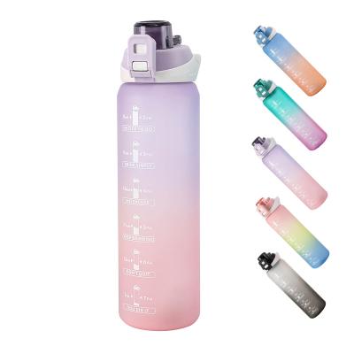 China Sustainable Factory Fitness Tritan Custom Sport Frosted Plastic Bpa Free Fruit Water Bottle For Gym for sale