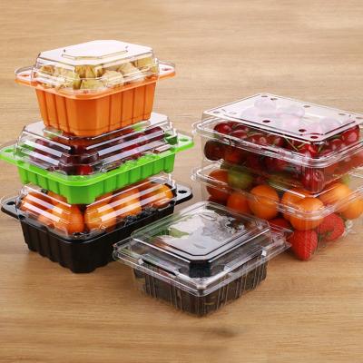 China Disposable Plastic Pet Blister Containers Disposable Box With Lid For Plastic Fruit Packaging for sale