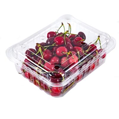 China Cheap Price Cherry RPET/PET Disposable Clamshell Packaging Transparent Square Plastic Fruit Box for sale