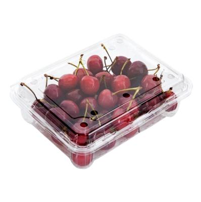 China 100% Thickening Materials Disposable Transparent Fruit Box Food Grade PTE/RPET Plastic Fruit Boxes 300g for sale