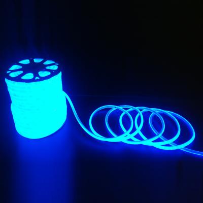 China PVC 220v smd 2835 led decoration flexible pattern christmas light neon tube neon lamp for sale