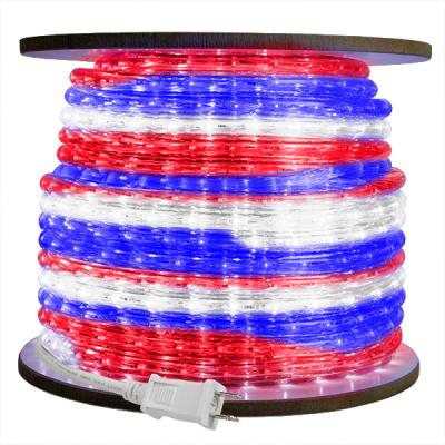 China Outdoor DECORATION 220v 110v 24v 12v Color Changing Led Rope Light for sale